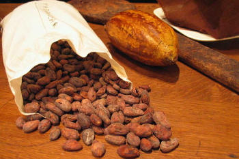 selection cacaos
